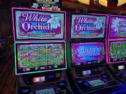 Dealer profesional di studio live giga33 dengan multi-kamera dan grafis real-time